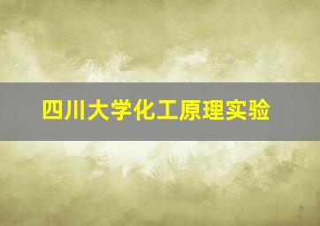 四川大学化工原理实验