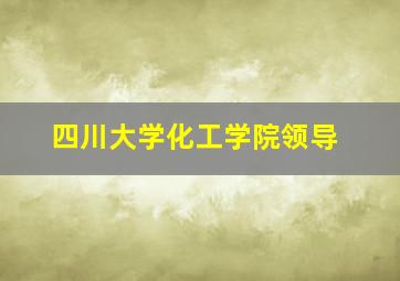 四川大学化工学院领导