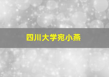 四川大学宛小燕