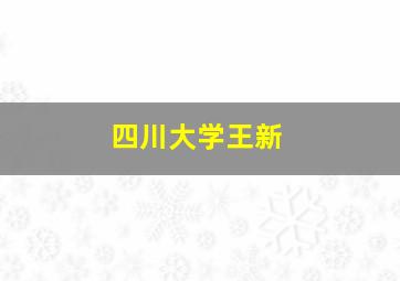 四川大学王新