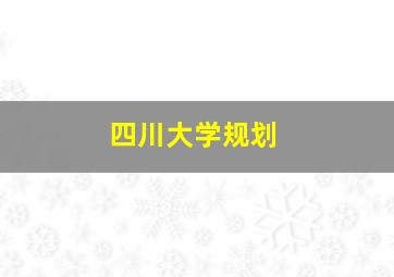 四川大学规划