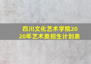 四川文化艺术学院2020年艺术类招生计划表