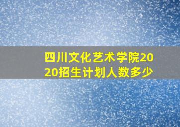 四川文化艺术学院2020招生计划人数多少