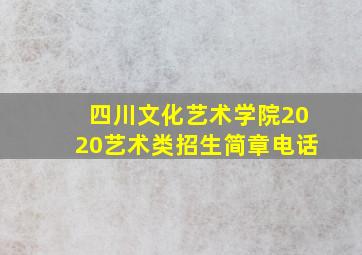 四川文化艺术学院2020艺术类招生简章电话