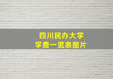 四川民办大学学费一览表图片