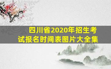 四川省2020年招生考试报名时间表图片大全集