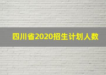 四川省2020招生计划人数