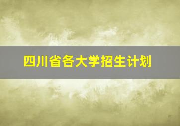 四川省各大学招生计划