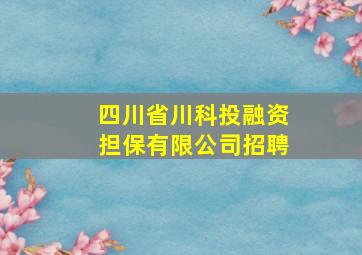 四川省川科投融资担保有限公司招聘