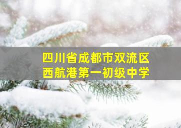 四川省成都市双流区西航港第一初级中学