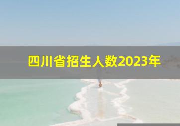 四川省招生人数2023年