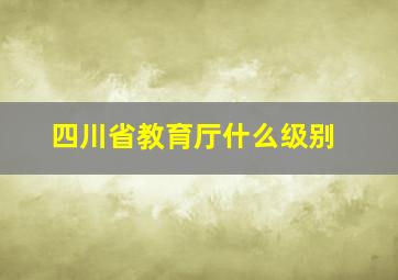 四川省教育厅什么级别