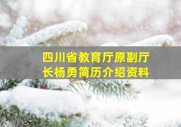 四川省教育厅原副厅长杨勇简历介绍资料