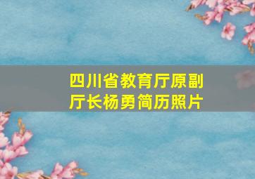 四川省教育厅原副厅长杨勇简历照片