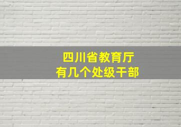 四川省教育厅有几个处级干部