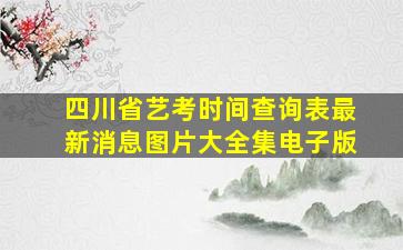 四川省艺考时间查询表最新消息图片大全集电子版