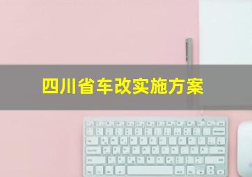 四川省车改实施方案