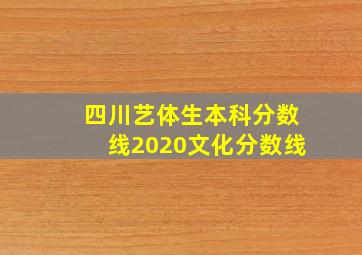 四川艺体生本科分数线2020文化分数线