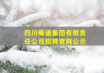 四川蜀道集团有限责任公司招聘官网公示