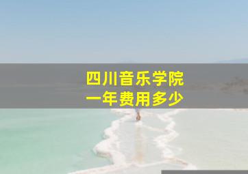 四川音乐学院一年费用多少