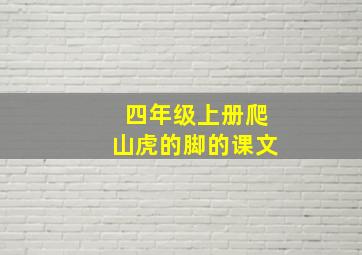 四年级上册爬山虎的脚的课文