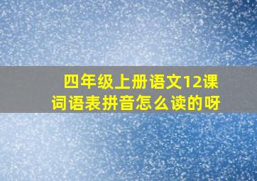 四年级上册语文12课词语表拼音怎么读的呀