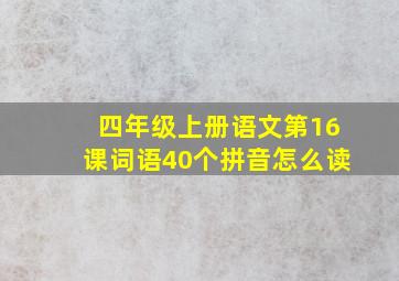 四年级上册语文第16课词语40个拼音怎么读