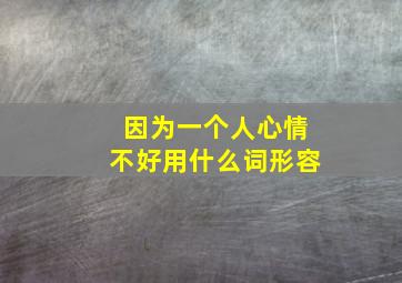 因为一个人心情不好用什么词形容