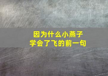 因为什么小燕子学会了飞的前一句