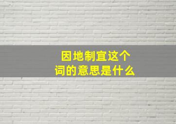 因地制宜这个词的意思是什么