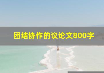 团结协作的议论文800字