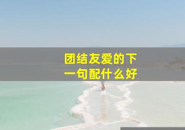 团结友爱的下一句配什么好