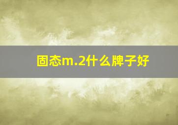 固态m.2什么牌子好