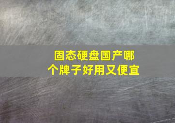 固态硬盘国产哪个牌子好用又便宜