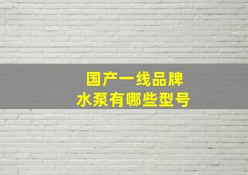 国产一线品牌水泵有哪些型号