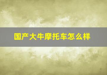 国产大牛摩托车怎么样