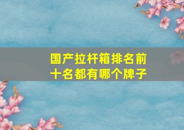 国产拉杆箱排名前十名都有哪个牌子