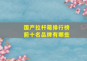 国产拉杆箱排行榜前十名品牌有哪些