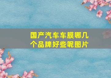 国产汽车车膜哪几个品牌好些呢图片