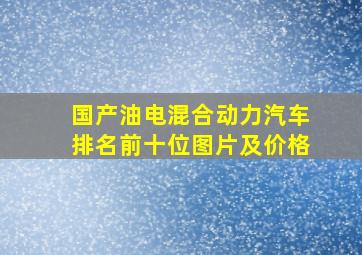 国产油电混合动力汽车排名前十位图片及价格