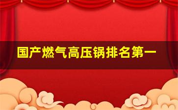 国产燃气高压锅排名第一