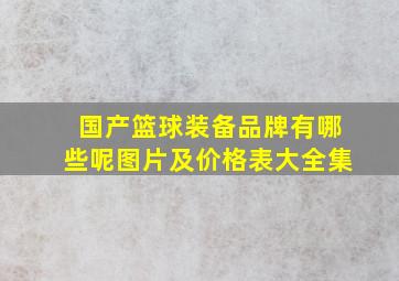 国产篮球装备品牌有哪些呢图片及价格表大全集