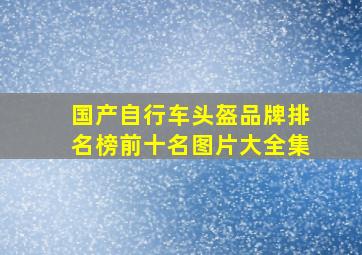 国产自行车头盔品牌排名榜前十名图片大全集