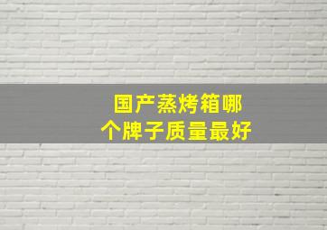 国产蒸烤箱哪个牌子质量最好