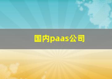 国内paas公司