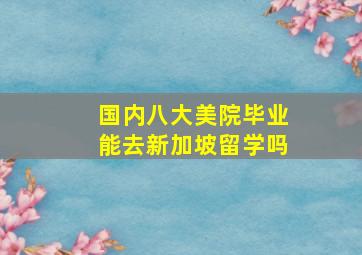 国内八大美院毕业能去新加坡留学吗