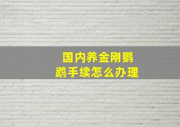 国内养金刚鹦鹉手续怎么办理