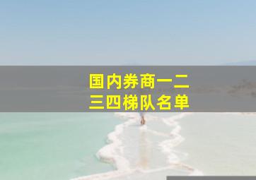 国内券商一二三四梯队名单