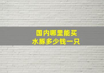 国内哪里能买水豚多少钱一只