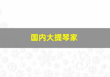 国内大提琴家